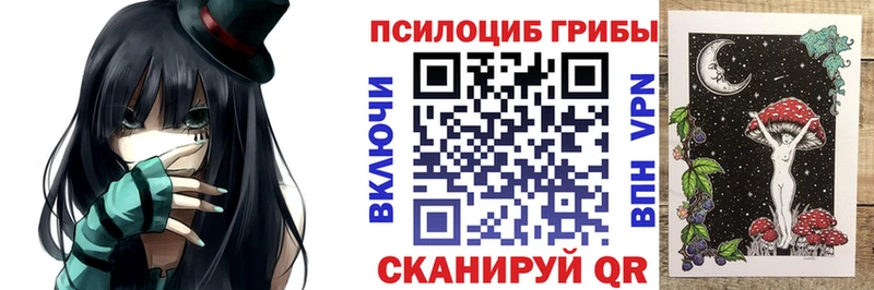 Купить закладки  Галич  Галлюциногенные грибы мицелий 